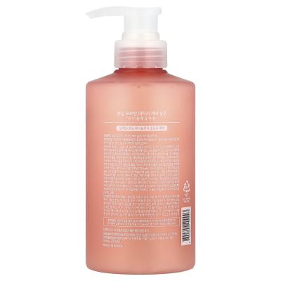 Kundal, شامبو ربط البروتين، للشعر التالف، البنفسج، 16.9 أونصة سائلة (500 مل)